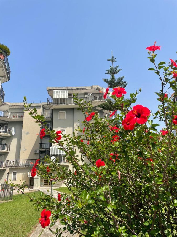 Savastano'S Home Scalea Dış mekan fotoğraf